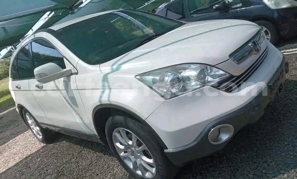 Acheter Occasion Voiture Honda CR–V Blanc à Mbabane, Manzini Acheter Occasion Voiture Honda CR–V Blanc à Mbabane, Manzini