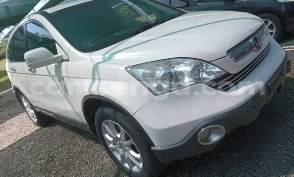Acheter Occasion Voiture Honda CR–V Blanc à Mbabane, Manzini Acheter Occasion Voiture Honda CR–V Blanc à Mbabane, Manzini