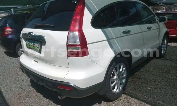 Acheter Occasion Voiture Honda CR–V Blanc à Mbabane, Manzini Acheter Occasion Voiture Honda CR–V Blanc à Mbabane, Manzini