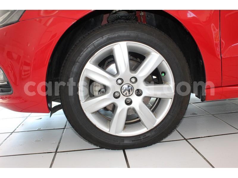 Big with watermark 800 81 