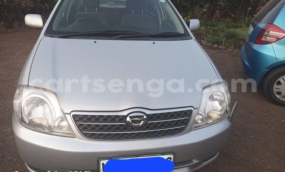 Buy Used Toyota Corolla Other Car in Big Bend in Lubombo District Buy Used Toyota Corolla Other Car in Big Bend in Lubombo District