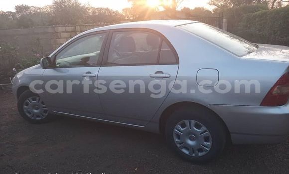 Acheter Occasion Voiture Toyota Corolla Autre à Big Bend, Lubombo District Acheter Occasion Voiture Toyota Corolla Autre à Big Bend, Lubombo District