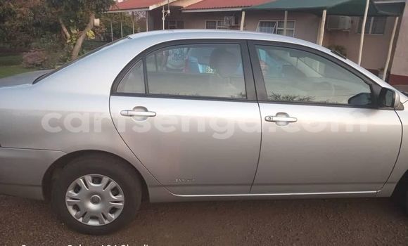 Acheter Occasion Voiture Toyota Corolla Autre à Big Bend, Lubombo District Acheter Occasion Voiture Toyota Corolla Autre à Big Bend, Lubombo District