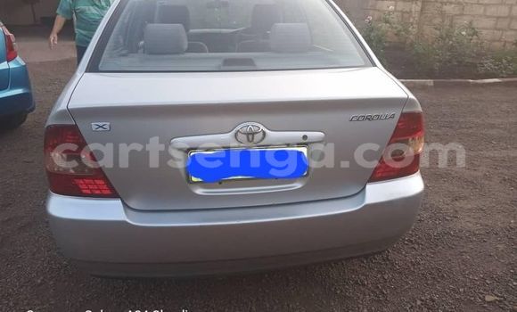 Acheter Occasion Voiture Toyota Corolla Autre à Big Bend, Lubombo District Acheter Occasion Voiture Toyota Corolla Autre à Big Bend, Lubombo District