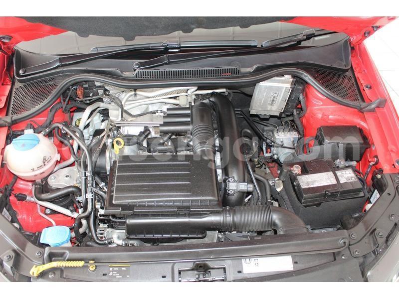 Big with watermark 800 80 