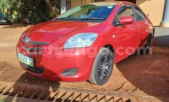 Buy Used Toyota Belta Red Car in Hlatikulu in Shiselweni District Buy Used Toyota Belta Red Car in Hlatikulu in Shiselweni District