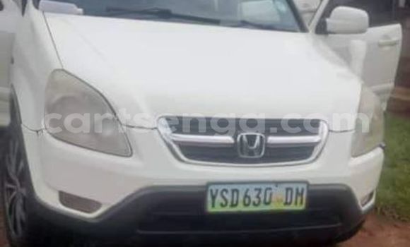 Acheter Occasion Voiture Honda CR–V Blanc à Ezulwini, Hhohho Acheter Occasion Voiture Honda CR–V Blanc à Ezulwini, Hhohho