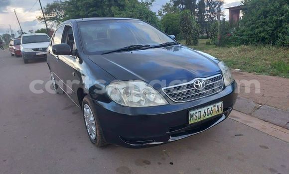 Nunua Ilio tumika Toyota Corolla Black Gari ndani ya Ezulwini nchini Hhohho Nunua Ilio tumika Toyota Corolla Black Gari ndani ya Ezulwini nchini Hhohho