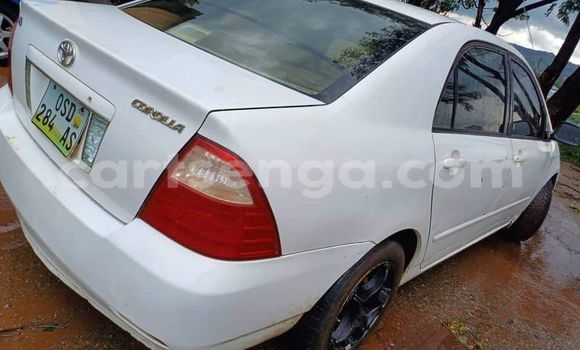 Buy Used Toyota Corolla White Car in Ezulwini in Hhohho
