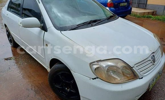 Nunua Ilio tumika Toyota Corolla White Gari ndani ya Ezulwini nchini Hhohho Nunua Ilio tumika Toyota Corolla White Gari ndani ya Ezulwini nchini Hhohho