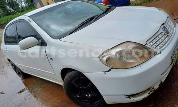 Nunua Ilio tumika Toyota Corolla White Gari ndani ya Ezulwini nchini Hhohho Nunua Ilio tumika Toyota Corolla White Gari ndani ya Ezulwini nchini Hhohho