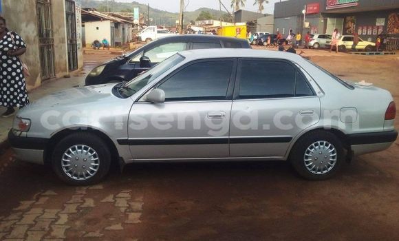 Nunua Ilio tumika Toyota Corolla Other Gari ndani ya Hlatikulu nchini Wilaya ya Shiselweni Nunua Ilio tumika Toyota Corolla Other Gari ndani ya Hlatikulu nchini Wilaya ya Shiselweni
