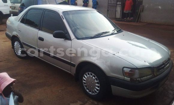 Nunua Ilio tumika Toyota Corolla Other Gari ndani ya Hlatikulu nchini Wilaya ya Shiselweni Nunua Ilio tumika Toyota Corolla Other Gari ndani ya Hlatikulu nchini Wilaya ya Shiselweni