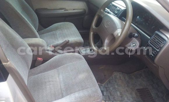 Nunua Ilio tumika Toyota Corolla Other Gari ndani ya Hlatikulu nchini Wilaya ya Shiselweni Nunua Ilio tumika Toyota Corolla Other Gari ndani ya Hlatikulu nchini Wilaya ya Shiselweni