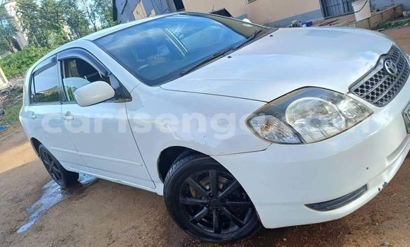 Nunua Ilio tumika Toyota Runx White Gari ndani ya Ezulwini nchini Hhohho Nunua Ilio tumika Toyota Runx White Gari ndani ya Ezulwini nchini Hhohho