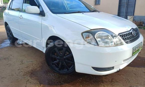 Nunua Ilio tumika Toyota Runx White Gari ndani ya Ezulwini nchini Hhohho Nunua Ilio tumika Toyota Runx White Gari ndani ya Ezulwini nchini Hhohho