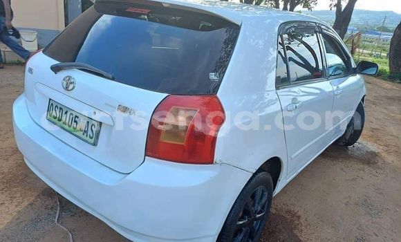 Nunua Ilio tumika Toyota Runx White Gari ndani ya Ezulwini nchini Hhohho Nunua Ilio tumika Toyota Runx White Gari ndani ya Ezulwini nchini Hhohho