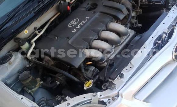 Buy Used Toyota Runx Other Car in Hlatikulu in Shiselweni District Buy Used Toyota Runx Other Car in Hlatikulu in Shiselweni District