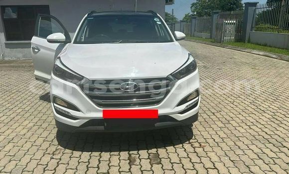 Nunua Ilio tumika Hyundai Tucson White Gari ndani ya Bulembu nchini Hhohho