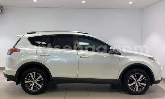 Buy Used Toyota RAV4 White Car in Mbabane in Manzini Buy Used Toyota RAV4 White Car in Mbabane in Manzini