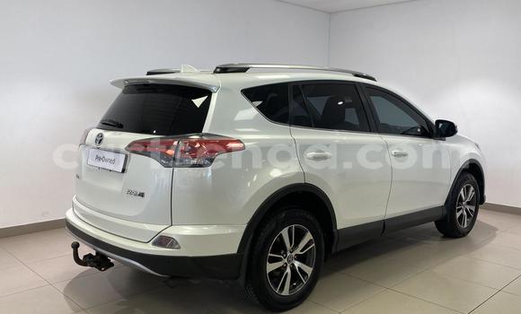 Buy Used Toyota RAV4 White Car in Mbabane in Manzini Buy Used Toyota RAV4 White Car in Mbabane in Manzini