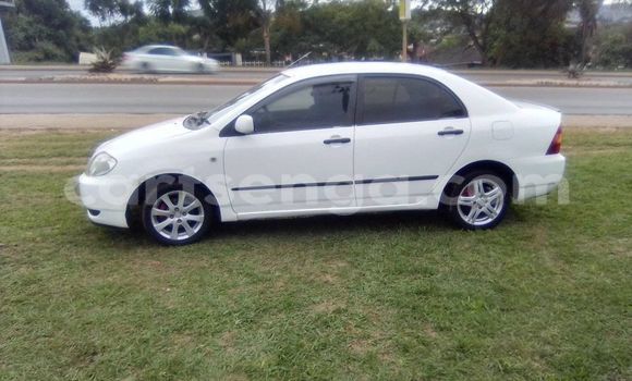 Buy Used Toyota Corolla White Car in Kwaluseni in Manzini