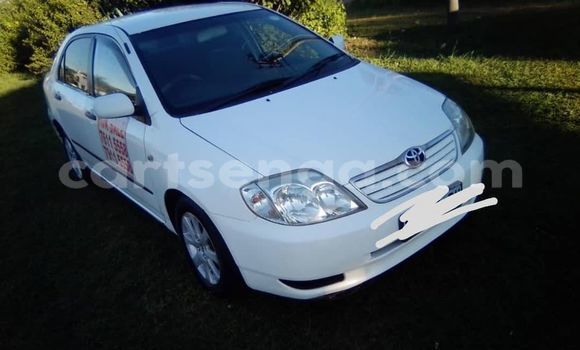 Buy Used Toyota Corolla White Car in Kwaluseni in Manzini Buy Used Toyota Corolla White Car in Kwaluseni in Manzini