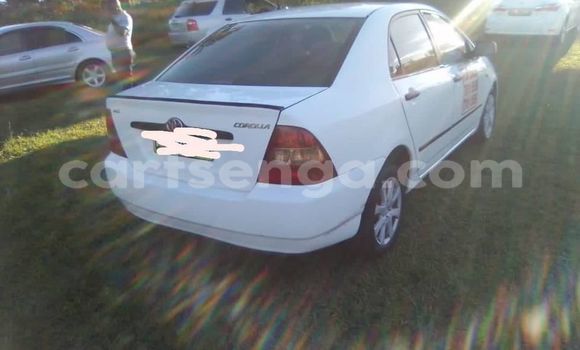 Buy Used Toyota Corolla White Car in Kwaluseni in Manzini Buy Used Toyota Corolla White Car in Kwaluseni in Manzini