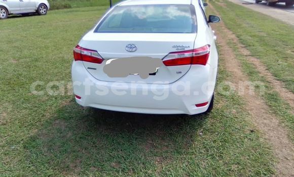 Nunua Ilio tumika Toyota Corolla White Gari ndani ya Kwaluseni nchini Manzini Nunua Ilio tumika Toyota Corolla White Gari ndani ya Kwaluseni nchini Manzini