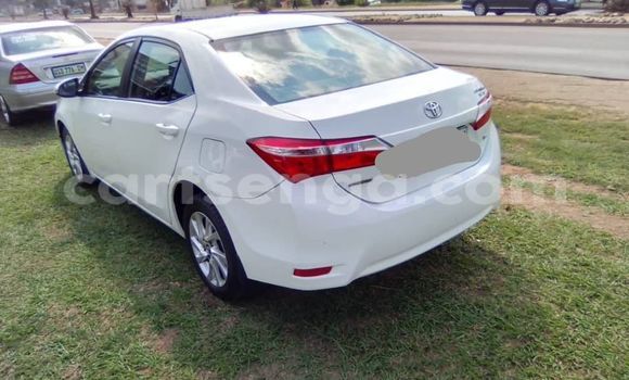 Buy Used Toyota Corolla White Car in Kwaluseni in Manzini Buy Used Toyota Corolla White Car in Kwaluseni in Manzini