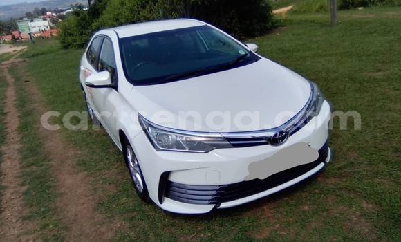 Buy Used Toyota Corolla White Car in Kwaluseni in Manzini Buy Used Toyota Corolla White Car in Kwaluseni in Manzini