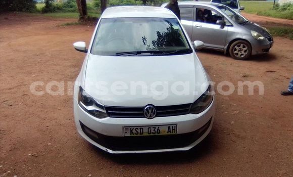 Buy Used Volkswagen Polo White Car in Kwaluseni in Manzini Buy Used Volkswagen Polo White Car in Kwaluseni in Manzini