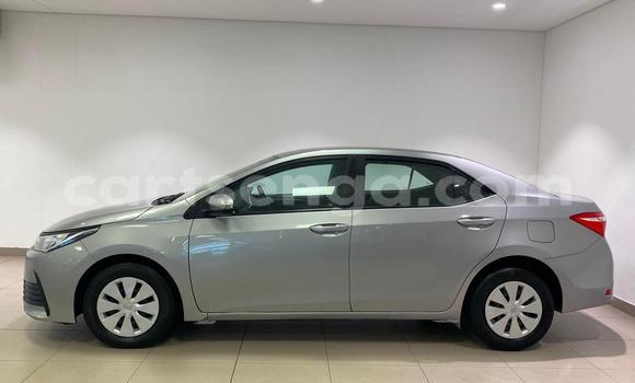 Buy Used Toyota Corolla Silver Car in Manzini in Manzini Buy Used Toyota Corolla Silver Car in Manzini in Manzini