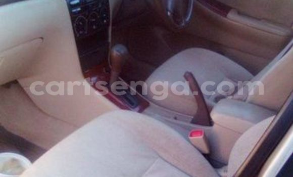 Nunua Ilio tumika Toyota Allex Other Gari ndani ya Bulembu nchini Hhohho Nunua Ilio tumika Toyota Allex Other Gari ndani ya Bulembu nchini Hhohho