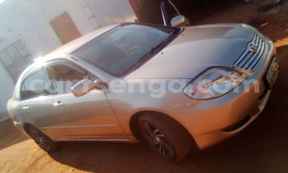 Nunua Ilio tumika Toyota Allex Other Gari ndani ya Bulembu nchini Hhohho Nunua Ilio tumika Toyota Allex Other Gari ndani ya Bulembu nchini Hhohho