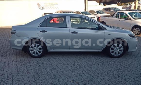 Acheter Occasion Voiture Toyota Corolla Autre à Manzini, Manzini Acheter Occasion Voiture Toyota Corolla Autre à Manzini, Manzini