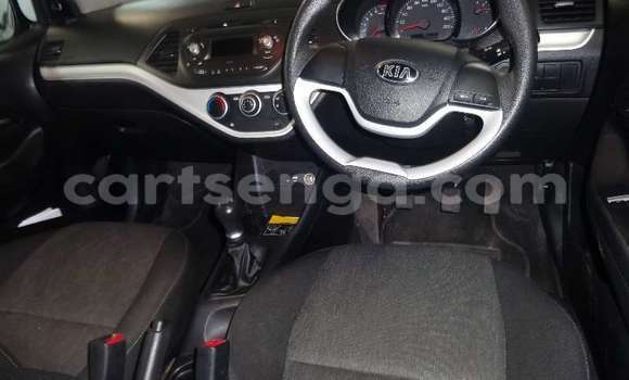 Buy Used Kia Picanto White Car in Ezulwini in Hhohho Buy Used Kia Picanto White Car in Ezulwini in Hhohho