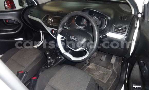 Buy Used Kia Picanto White Car in Ezulwini in Hhohho Buy Used Kia Picanto White Car in Ezulwini in Hhohho