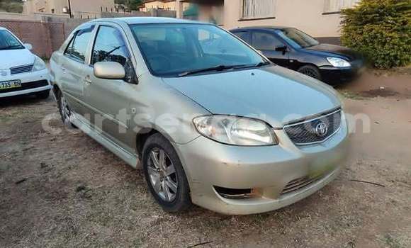 Nunua Ilio tumika Toyota Vios Other Gari ndani ya Lavumisa nchini Wilaya ya Shiselweni Nunua Ilio tumika Toyota Vios Other Gari ndani ya Lavumisa nchini Wilaya ya Shiselweni
