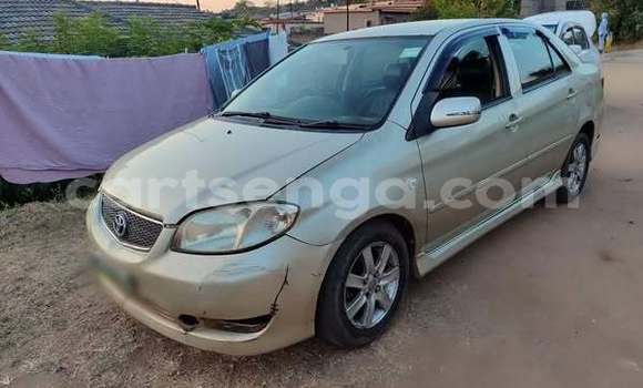 Buy Used Toyota Vios Other Car in Lavumisa in Shiselweni District Buy Used Toyota Vios Other Car in Lavumisa in Shiselweni District