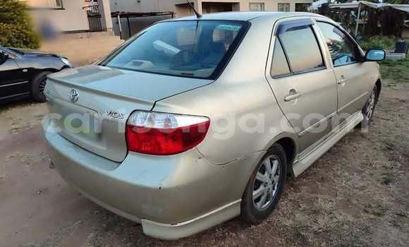 Buy Used Toyota Vios Other Car in Lavumisa in Shiselweni District Buy Used Toyota Vios Other Car in Lavumisa in Shiselweni District