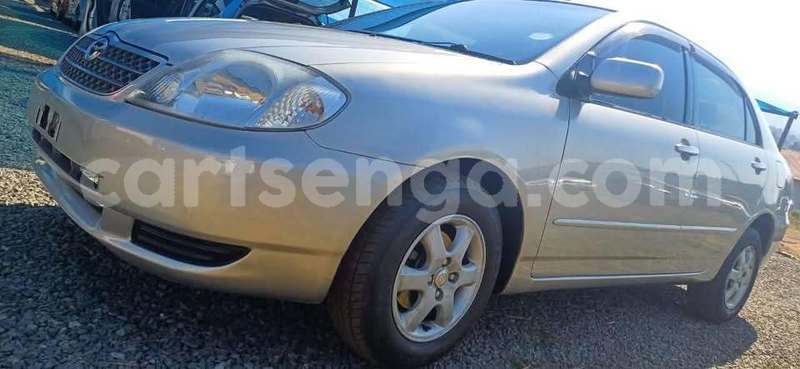 Big with watermark toyota corolla manzini manzini 29516