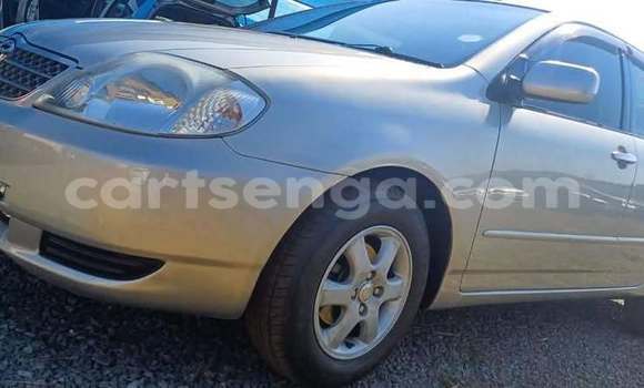 Buy Used Toyota Corolla Other Car in Manzini in Manzini