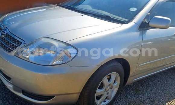 Buy Used Toyota Corolla Other Car in Manzini in Manzini Buy Used Toyota Corolla Other Car in Manzini in Manzini