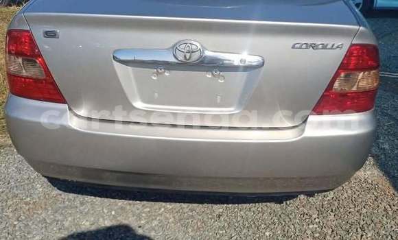 Buy Used Toyota Corolla Other Car in Manzini in Manzini Buy Used Toyota Corolla Other Car in Manzini in Manzini