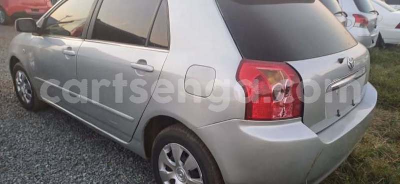 Big with watermark toyota runx manzini manzini 29522