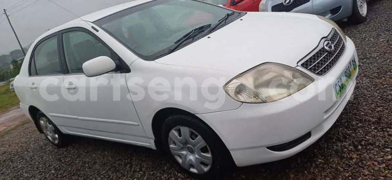 Big with watermark toyota corolla manzini manzini 29524