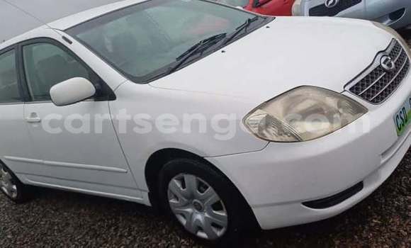 Buy Used Toyota Corolla White Car in Manzini in Manzini Buy Used Toyota Corolla White Car in Manzini in Manzini