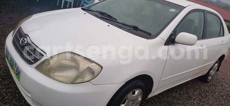 Big with watermark toyota corolla manzini manzini 29524