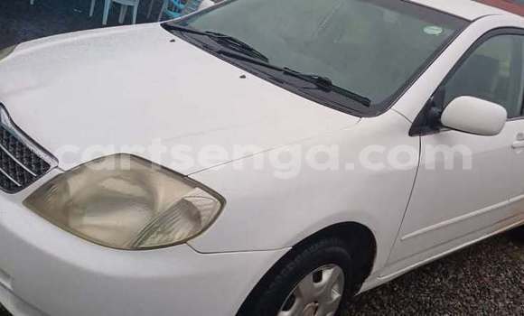 Buy Used Toyota Corolla White Car in Manzini in Manzini Buy Used Toyota Corolla White Car in Manzini in Manzini